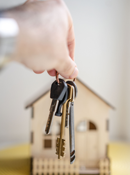 Gonçalves Xavier Advogados